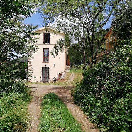 Stellaria Casa Vacanze In Montagna Panorama Stupendo Sardegna Seulo Luaran gambar