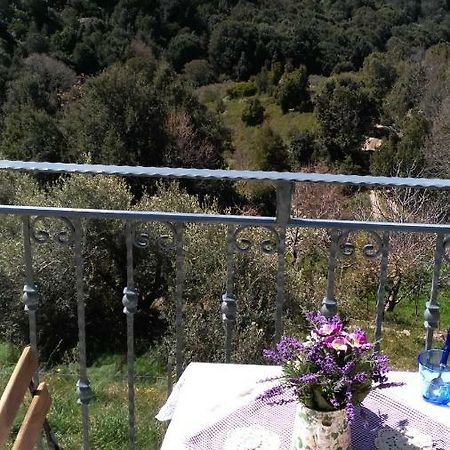 Stellaria Casa Vacanze In Montagna Panorama Stupendo Sardegna Seulo Luaran gambar