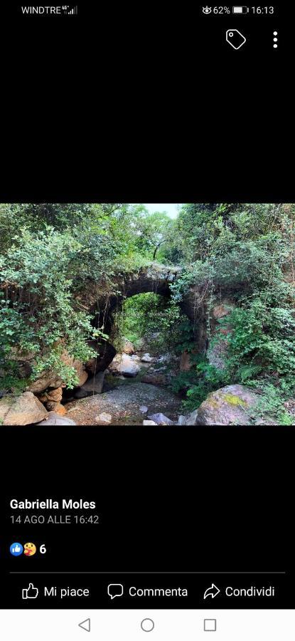 Stellaria Casa Vacanze In Montagna Panorama Stupendo Sardegna Seulo Luaran gambar