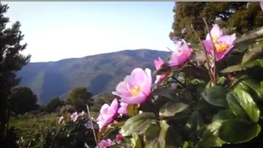 Stellaria Casa Vacanze In Montagna Panorama Stupendo Sardegna Seulo Luaran gambar