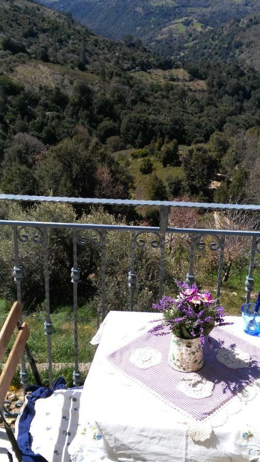 Stellaria Casa Vacanze In Montagna Panorama Stupendo Sardegna Seulo Luaran gambar