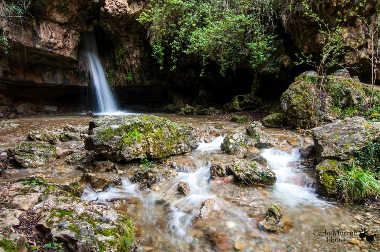 Stellaria Casa Vacanze In Montagna Panorama Stupendo Sardegna Seulo Luaran gambar