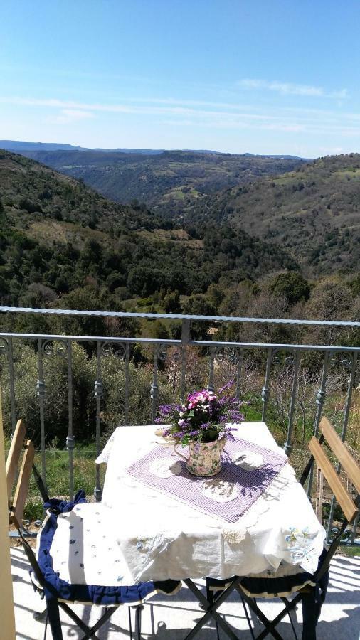 Stellaria Casa Vacanze In Montagna Panorama Stupendo Sardegna Seulo Luaran gambar